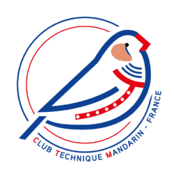 CLUB TECHNIQUE MANDARIN